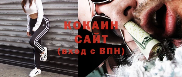 прущие грибы Баксан