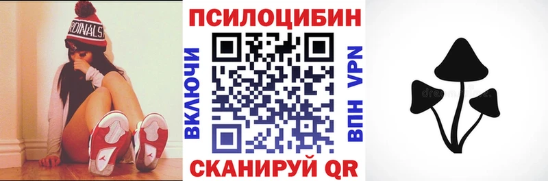 Купить Магадан Псилоцибиновые грибы GOLDEN TEACHER