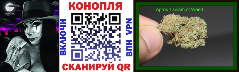 Канабис THC 21%  Купить где  Магадан 
